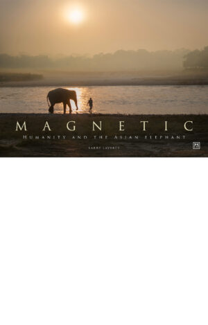 MAGNETIC