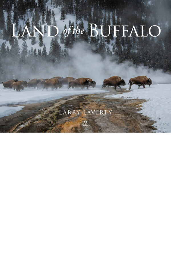 Land-of-Buffalo_2048x3200
